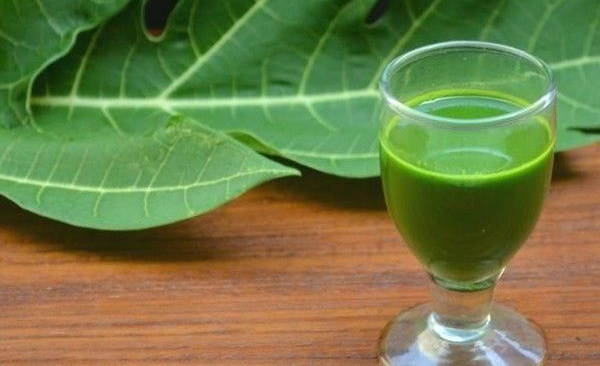 Papaya Leaf juice Health Benefits