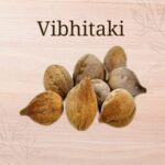 Explore the Digestive Benefits of Vibhitaki 4 Vibhitaki
