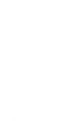 Decorative leaf