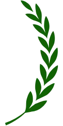 Right decorative leaf